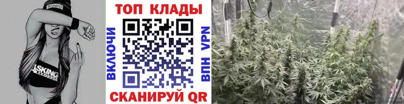 Купить наркотики Вятские Поляны OMG зеркало COCAIN ГАШ Alpha-PVP Мефедрон Каннабис