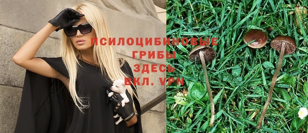 круглые Богданович