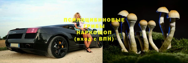 каннабис Белокуриха