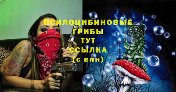бошки Беломорск