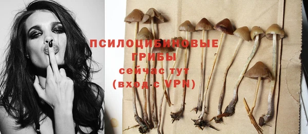 гашиш Богородицк