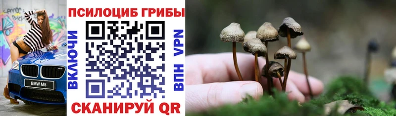 как найти закладки hydra сайт Псилоцибиновые грибы Psilocybine cubensis Вятские Поляны