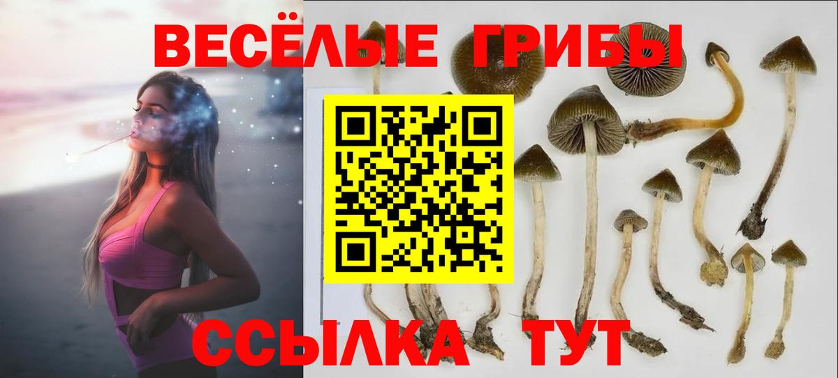Галлюциногенные грибы прущие грибы  Галлюциногенные грибы прущие грибы  Вход с VPN  Вятские Поляны 