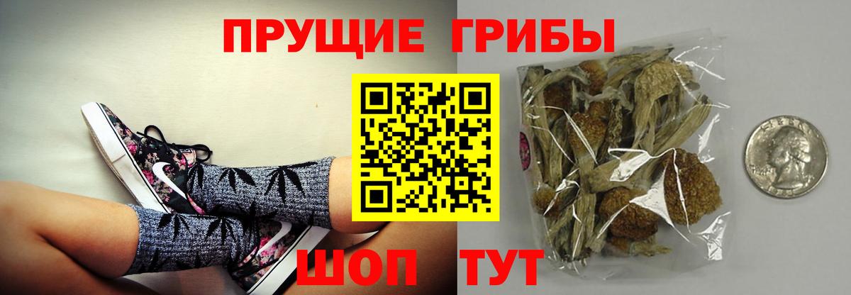 Галлюциногенные грибы прущие грибы  Псилоцибиновые грибы мухоморы  Вятские Поляны 