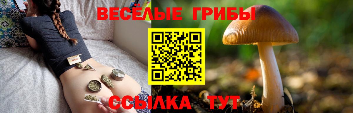 Галлюциногенные грибы MAGIC MUSHROOMS Вятские Поляны
