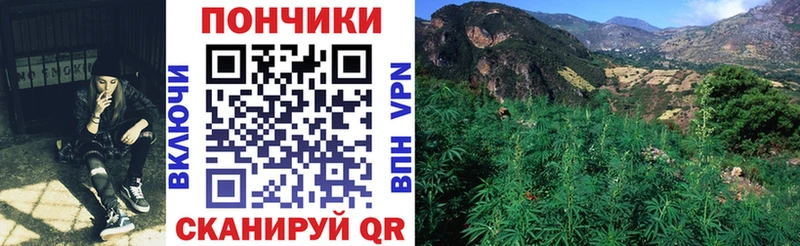 где найти   Вятские Поляны  Бошки марихуана MAZAR 